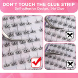 JYH Self-Adhesive Lash Series - Natural Sunflower