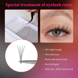 JYH 4D Volume Cluster Lashes 0.1mm