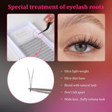 JYH 2D Volume Cluster Lashes 0.1mm