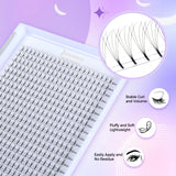 Large Capacity Long Stem 3D-6D Lashes 0.1mm Mixed Length 8-15mm