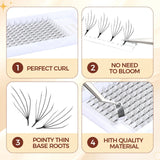 JYH 9-15mm Sea King Clover Lashes