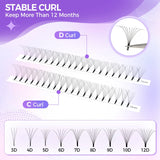 3D-12D Volume False Eyelashes, Long Stem, 0.07mm Soft, 8-15mm Mixed Length, Large Capacity