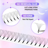 3D-12D Volume False Eyelashes, Long Stem, 0.07mm Soft, 8-15mm Mixed Length, Large Capacity