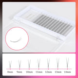 JYH 2D Volume Cluster Lashes 0.1mm