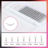 JYH 3D Volume Cluster Lashes 0.1mm
