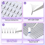 Large Capacity Long Stem 3D-6D Lashes 0.1mm Mixed Length 8-15mm