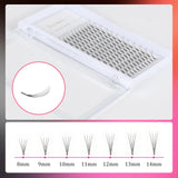 JYH 4D Volume Cluster Lashes 0.1mm