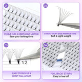 3D-12D Short Stem Volume Lashes 0.07mm, 8-15mm Optional, Large Capacity Single Length